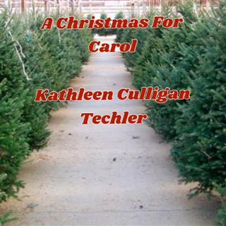 A Christmas For Carol cover