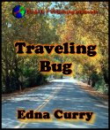 Traveling Bug